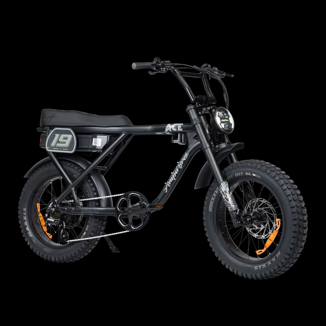 ACE Adventure Electric Bike (48V 20Ah / 250W) electric bike for sale Australia