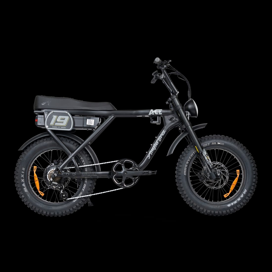 ACE Adventure Electric Bike (48V 20Ah / 250W) view 2
