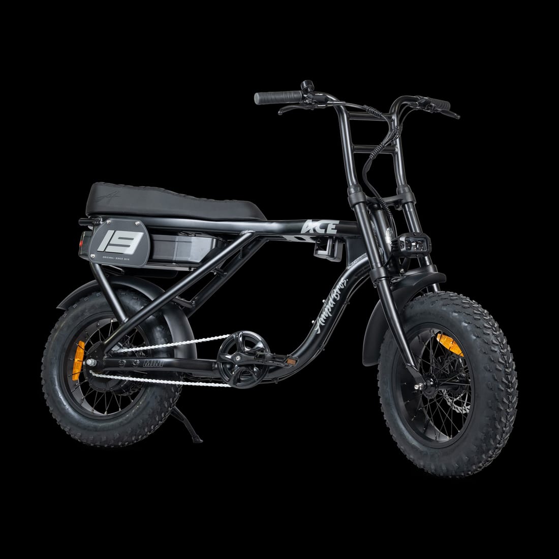 ACE Mini Electric Bike (48V 15Ah / 250W) electric bike for sale Australia