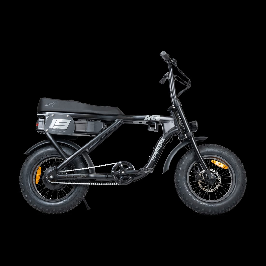 ACE Mini Electric Bike (48V 15Ah / 250W) view 2