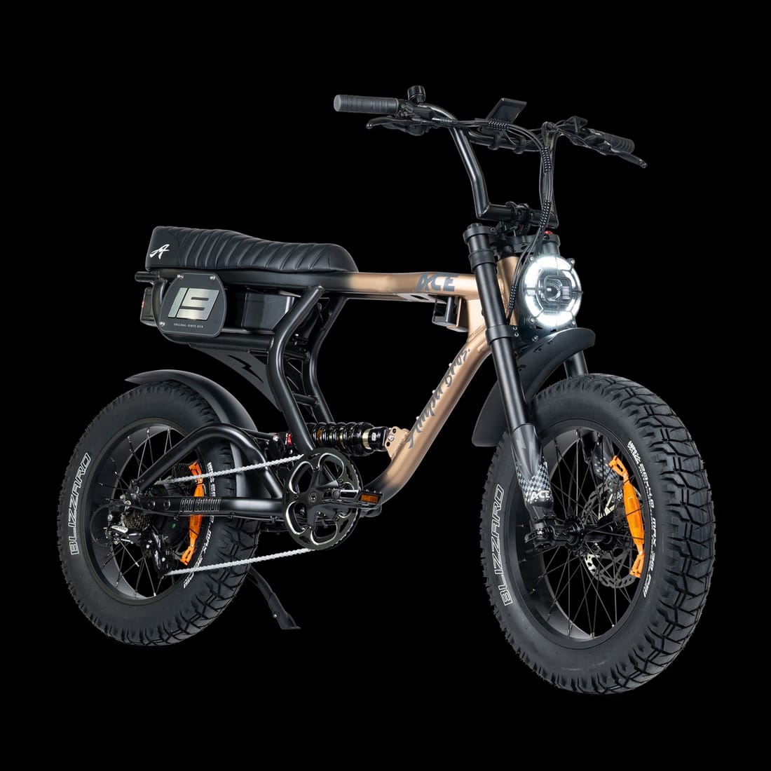 ACE PRO Electric Bike (48V 25Ah / 250W) for sale Australia
