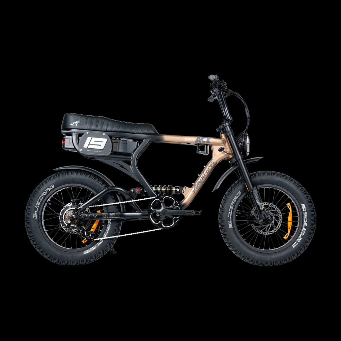 ACE PRO Electric Bike (48V 25Ah / 250W) view 2