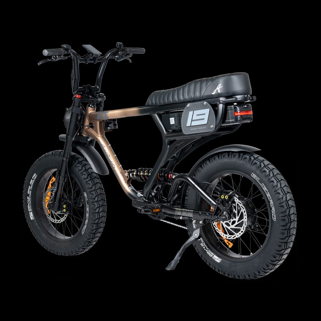ACE PRO Electric Bike (48V 25Ah / 250W) view 3