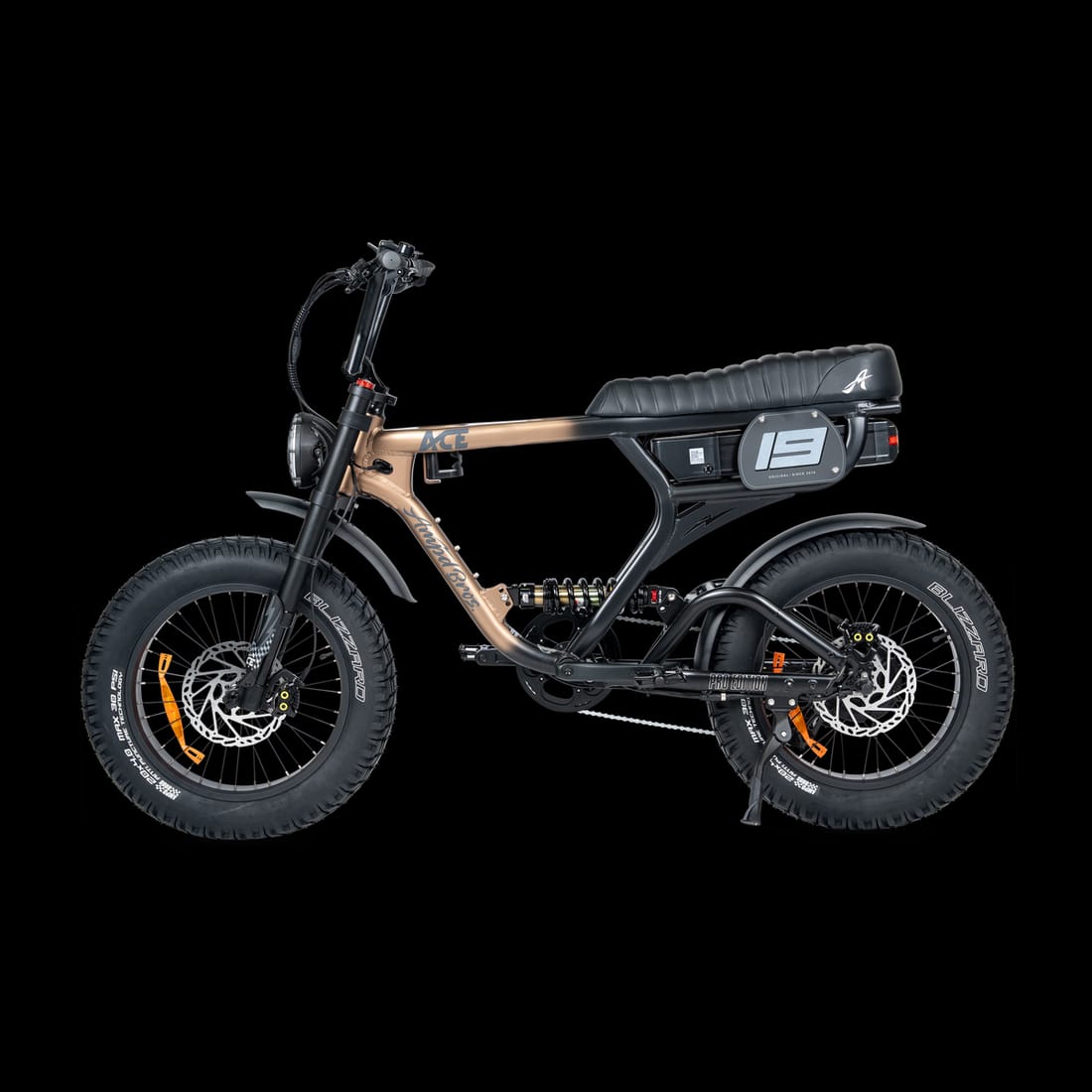 ACE PRO Electric Bike (48V 25Ah / 250W) view 4