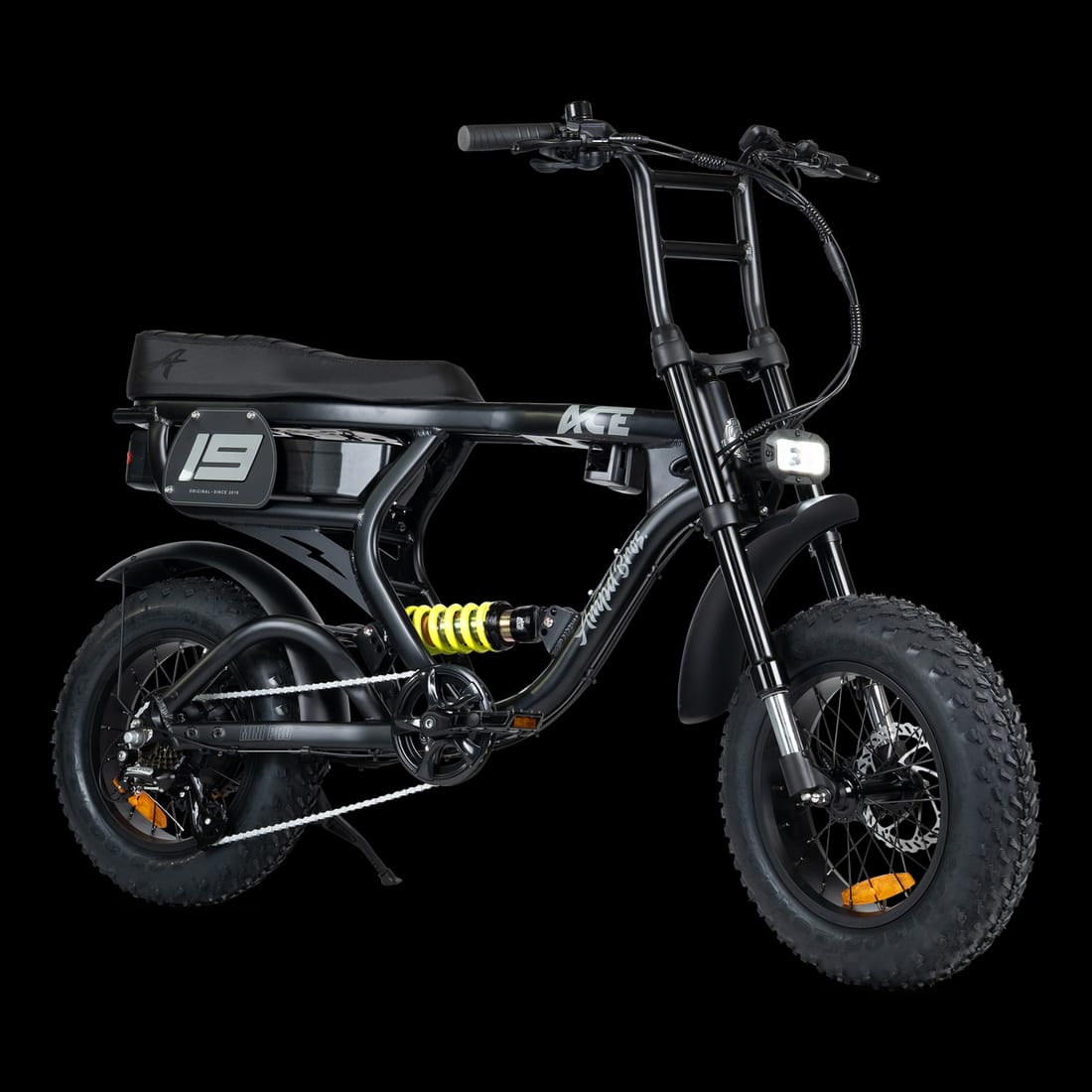 ACE-X Mini PRO Electric Bike (48V 15Ah / 250W) for sale Australia