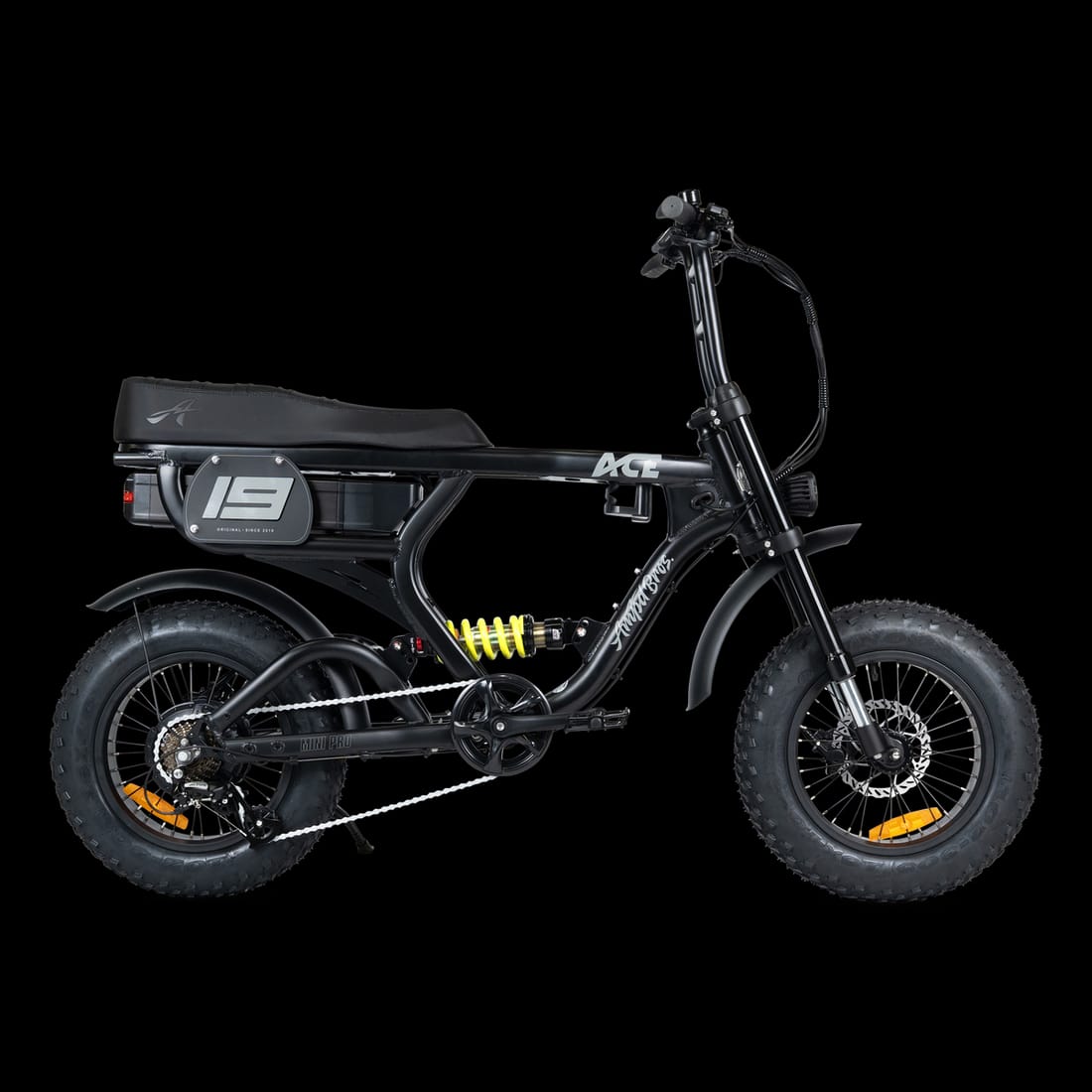 ACE-X Mini PRO Electric Bike (48V 15Ah / 250W) view 2
