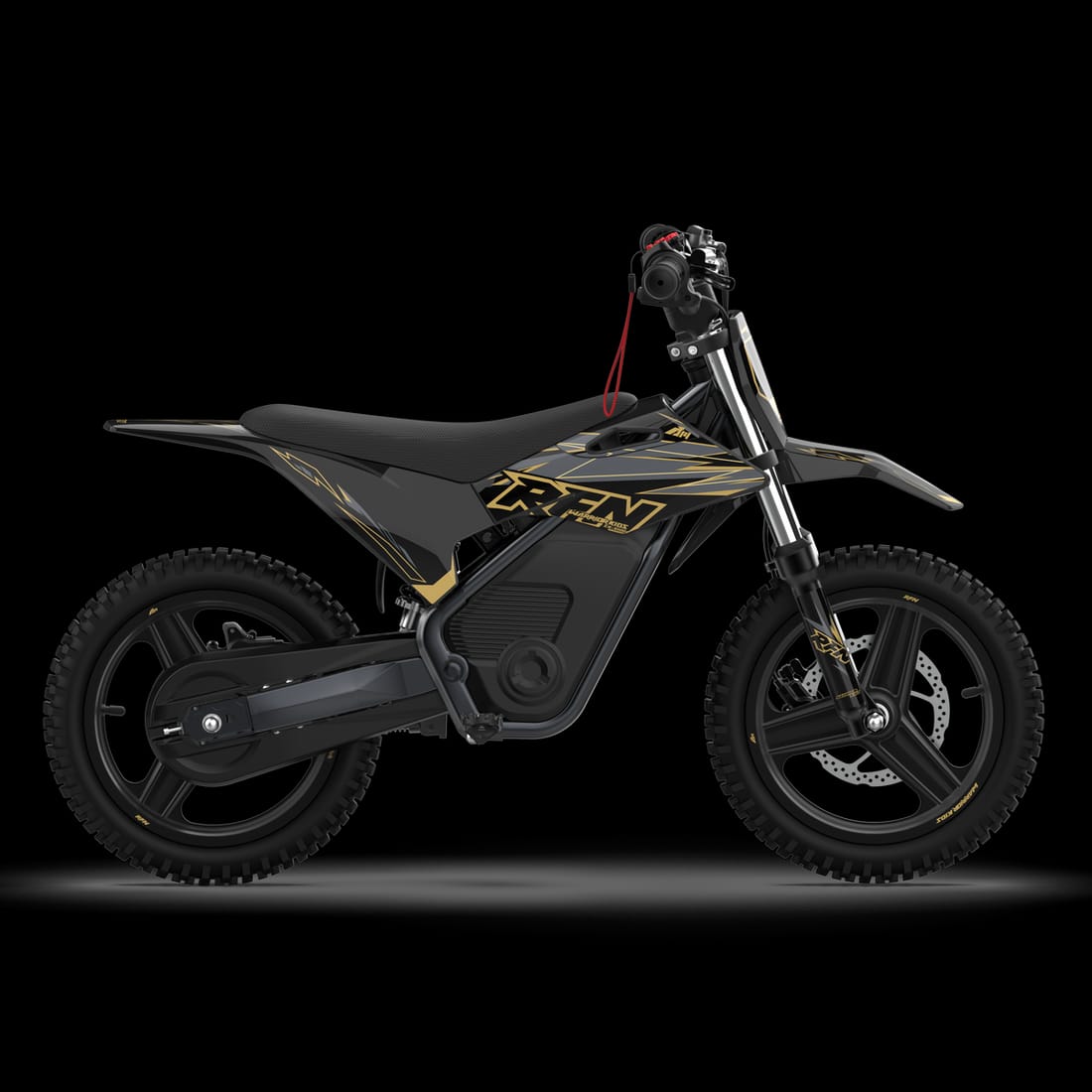 WARRIOR KIDS SX-E500 Electric Bike (36V 7.5Ah) view 2