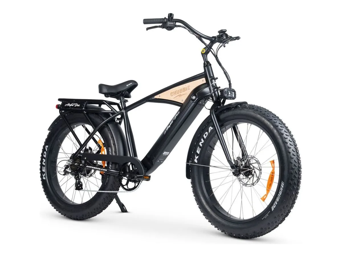 e bike electric