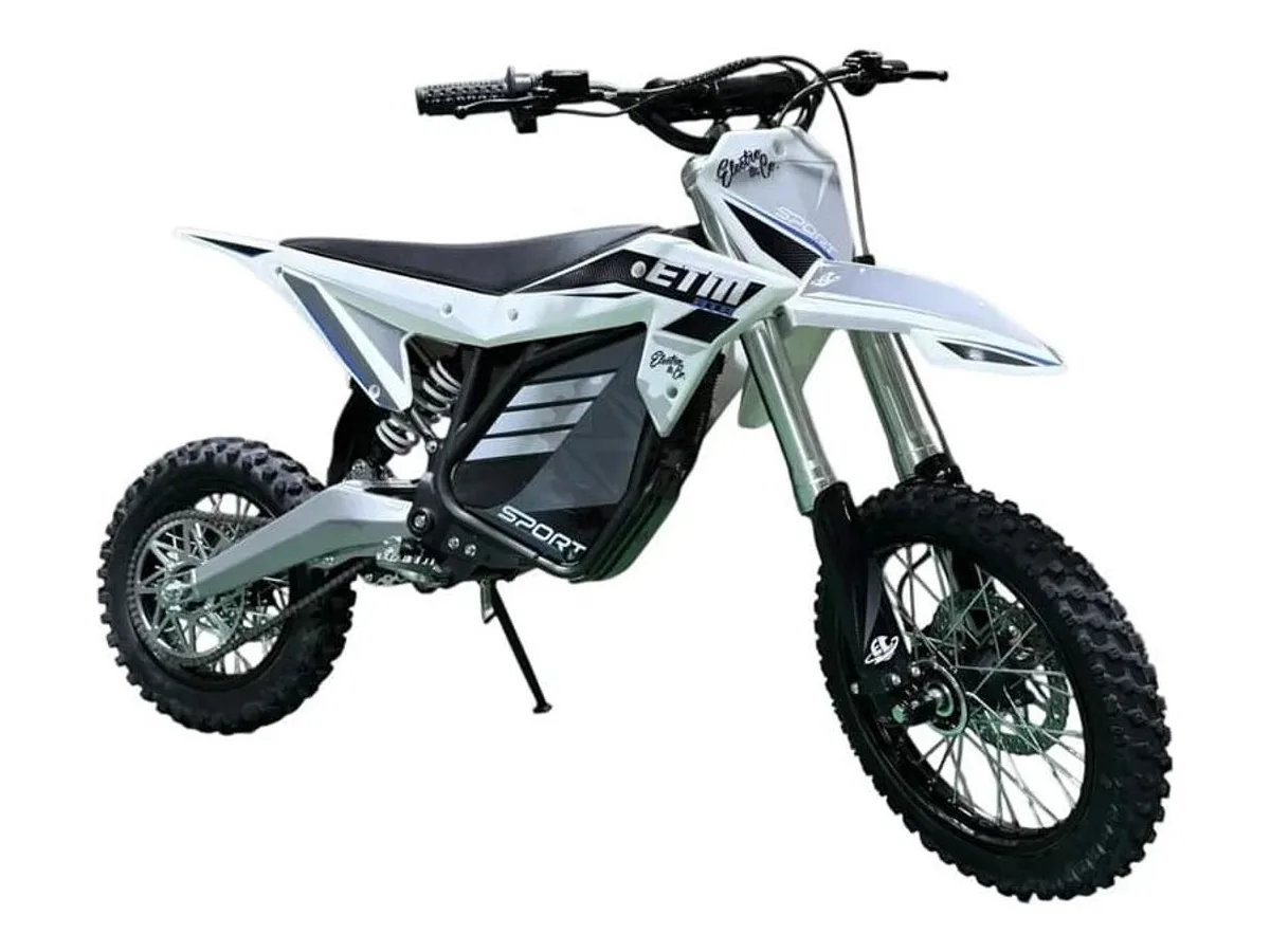 electric fat bike