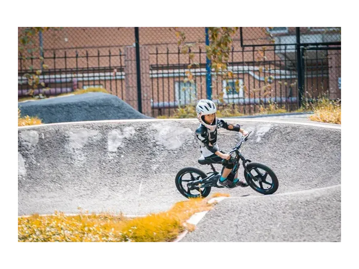 DHZ 16" 400W Electric Balance Bike electric balance bike view 2