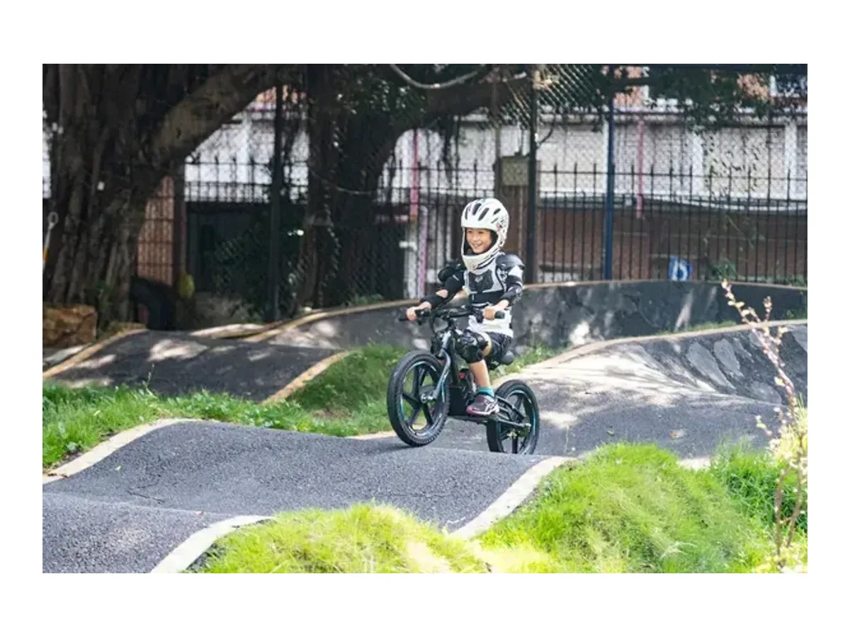 DHZ 16" 400W Electric Balance Bike electric balance bike view 3
