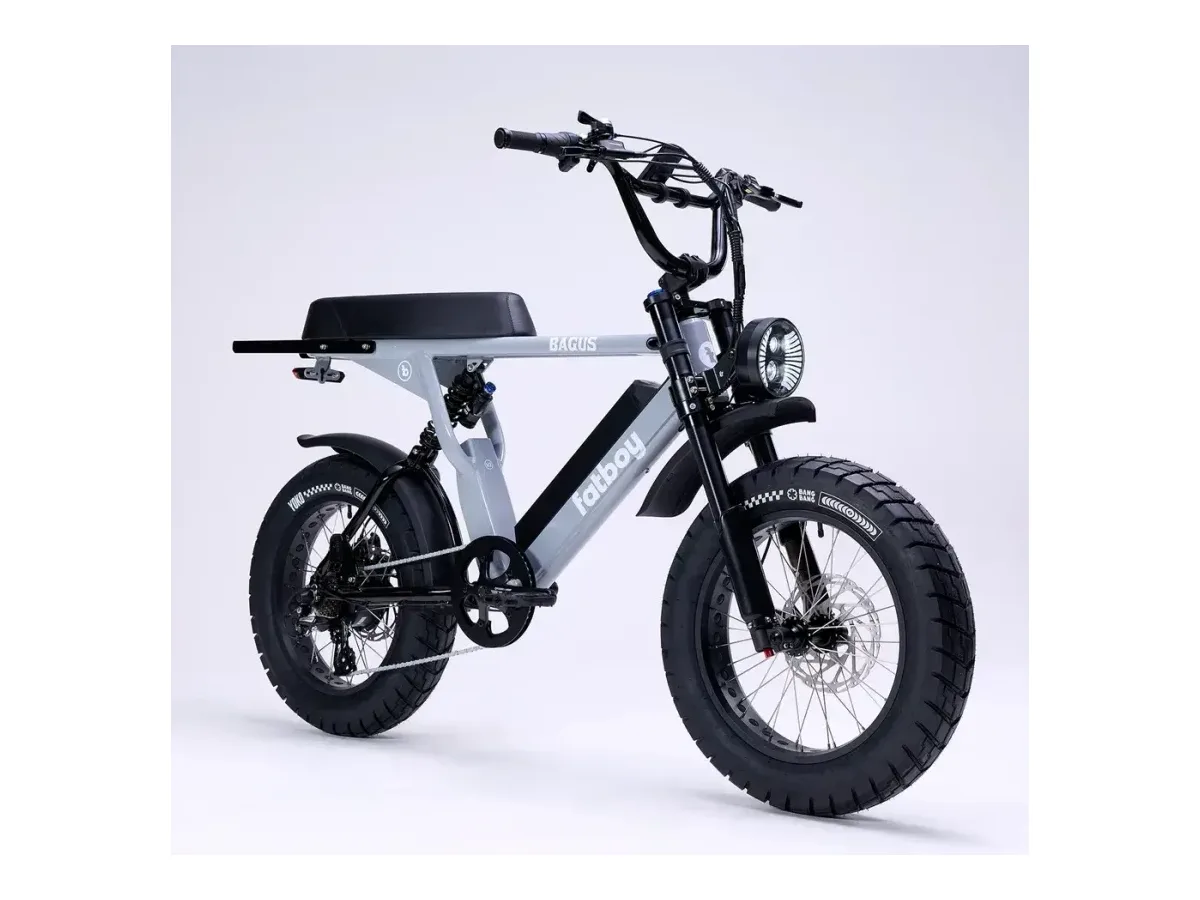 Fatboy The Bagus V2 Electric Bike 52V 20Ah fat tyre electric bike view 2