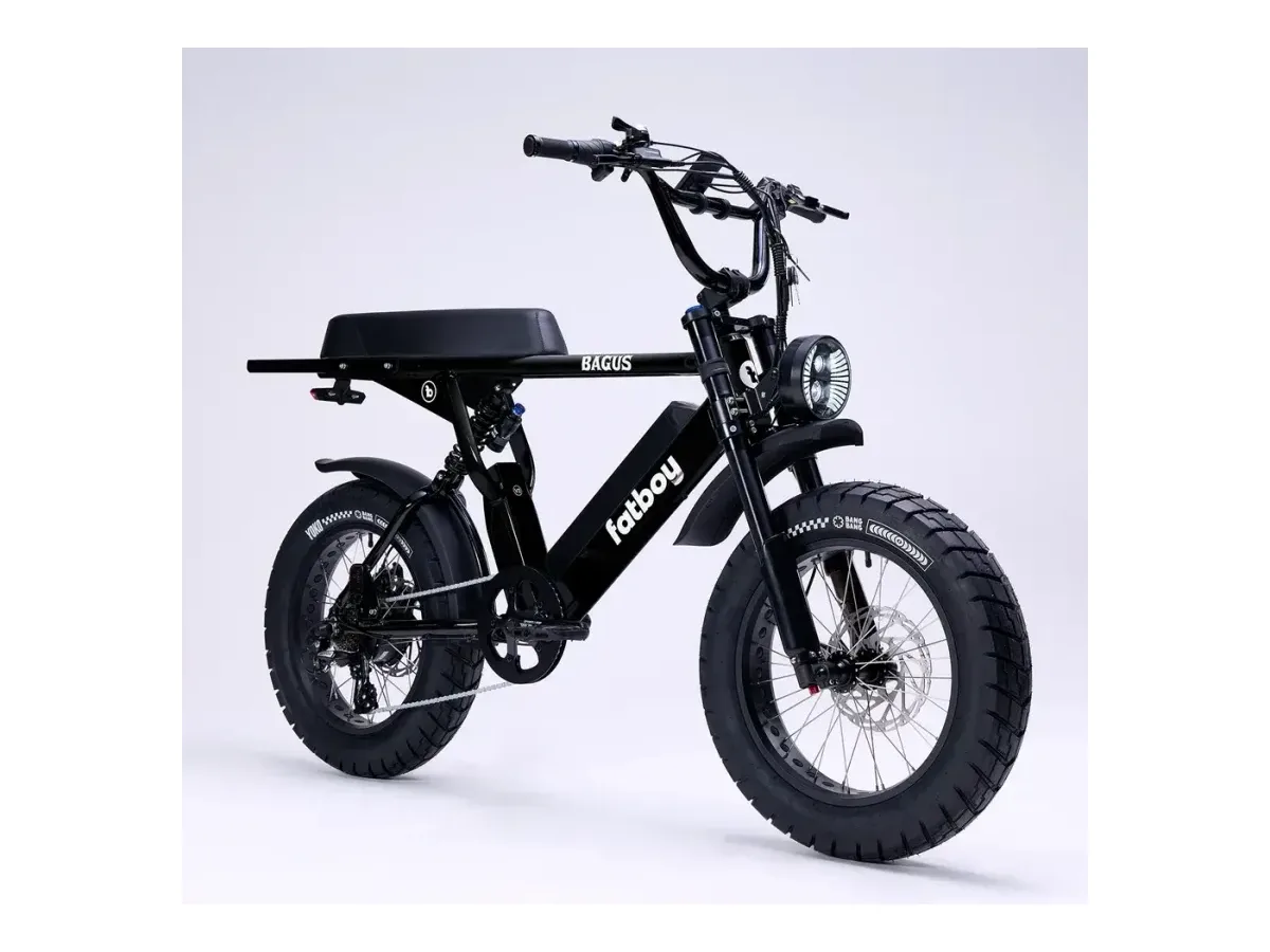 Fatboy The Bagus V2 Electric Bike 52V 20Ah fat tyre electric bike view 3