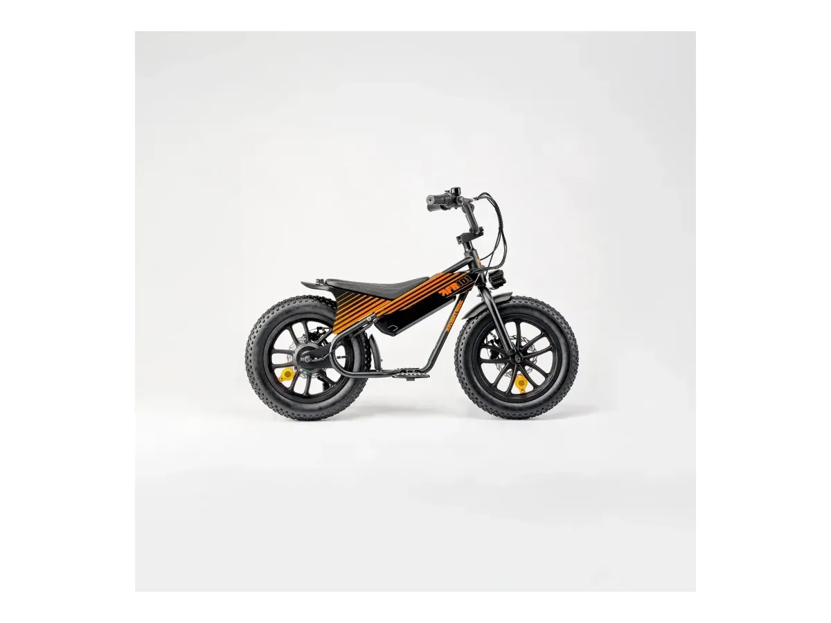 Flight Risk - FR101 - Ages 4-7 Yrs electric balance bike view 3