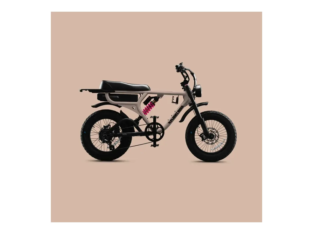 Flight Risk FR555 Fat Tyre Electric Bike electric balance bike view 2