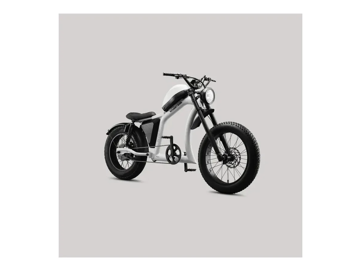 Flight Risk -FR666 electric balance bike