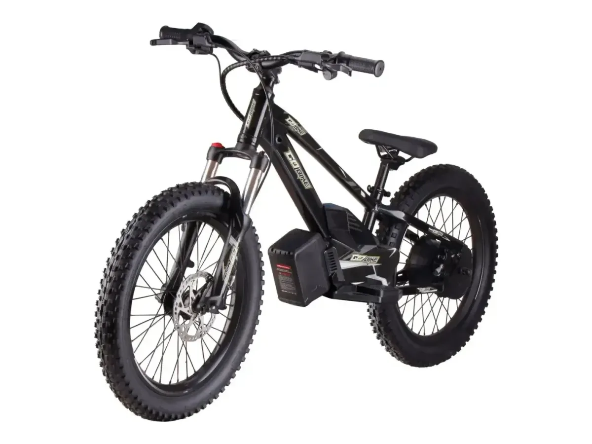 GoBike 20 Inch Electric Bike Ages 9 electric balance bike view 2