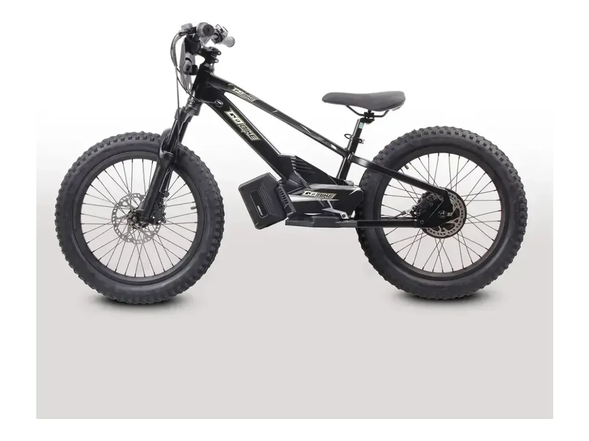 GoBike 20 Inch Electric Bike Ages 9 electric balance bike view 3