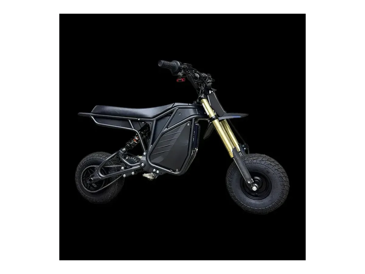 RONSTER RIDES Electro & Co The Rizzler 60v 5000W electric pit bike view 3