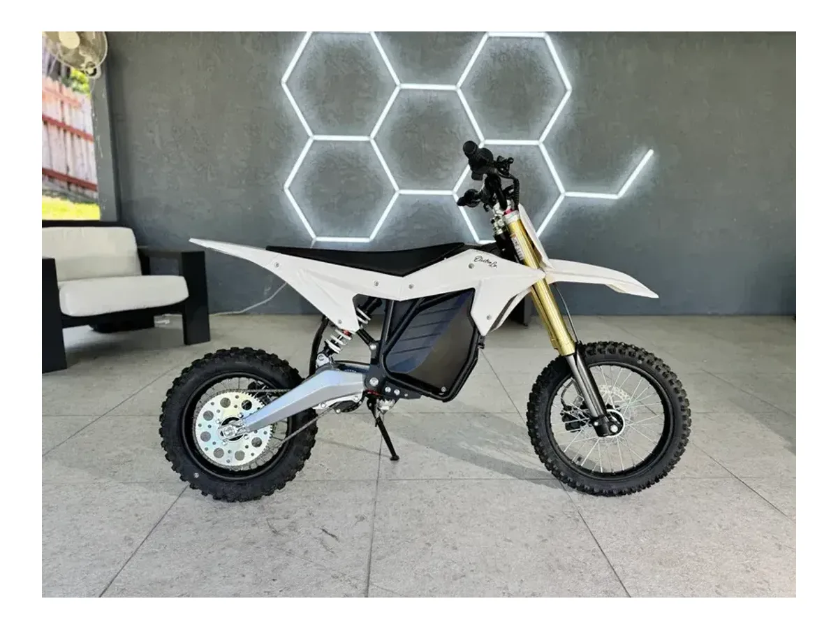 Ronster Rides RTR Lite 60v electric pit bike