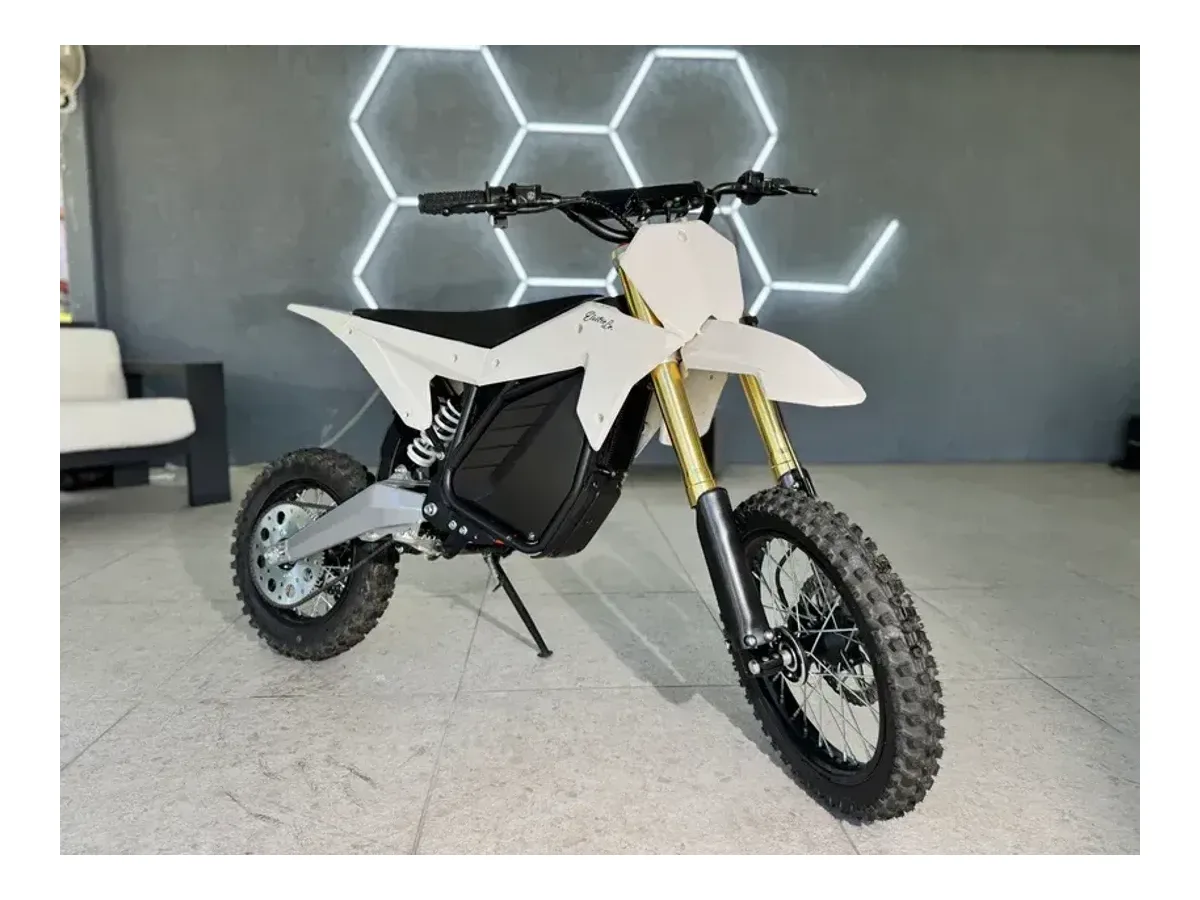 Ronster Rides RTR Lite 60v electric pit bike view 3